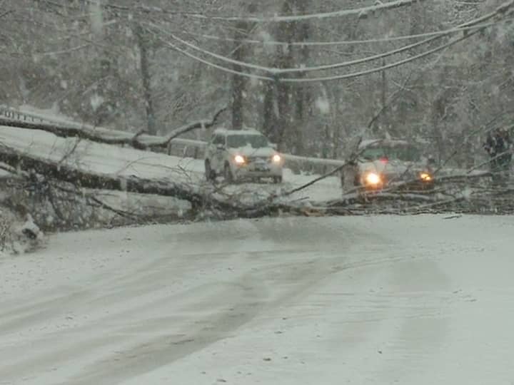 A stretch of Route 202 in Yorktown Heights at the intersection of Baldwin Road near the police station is blocked by a downed tree.