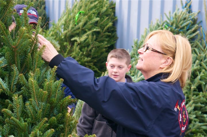 Sue Macellaro of Armonk picks out a tree at the North White Plains Firehouse. 