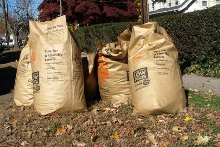 New city guidelines require Bridgeport residents to place leaves, brush and grass clippings in brown bags or in uncovered garbage cans ready for pickup on recycling day, which occurs biweekly.