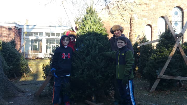 Thomas, Beren, Daniel and Sam of Fairfield&#x27;s Boy Scout Troop 82, were on hand to help patrons pick out trees on Sunday, Dec. 7.
