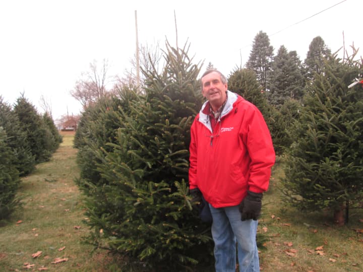 Randy Pratt in front of one of the Christmas trees at Wilkens Farm.