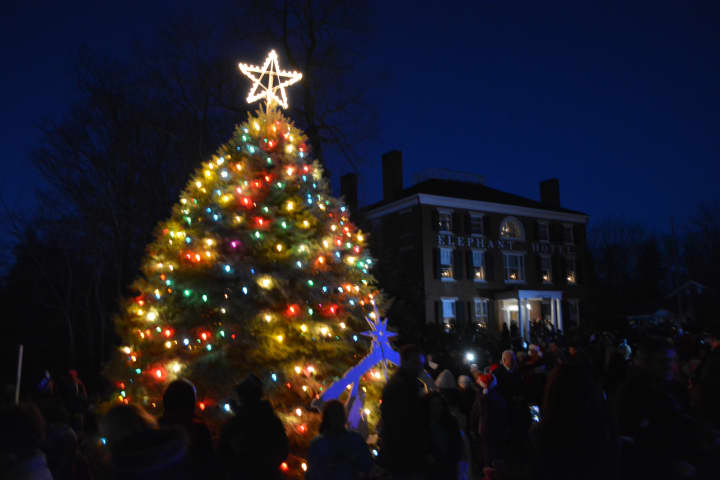 Somers&#x27; lit Christmas tree near the Elephant Hotel.
