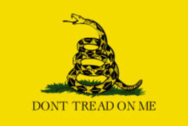 A federal judge dismissed a case that alleged the city of New Rochelle was violating a veterans group&#x27;s rights when it flew a Gadsden flag on city property. 