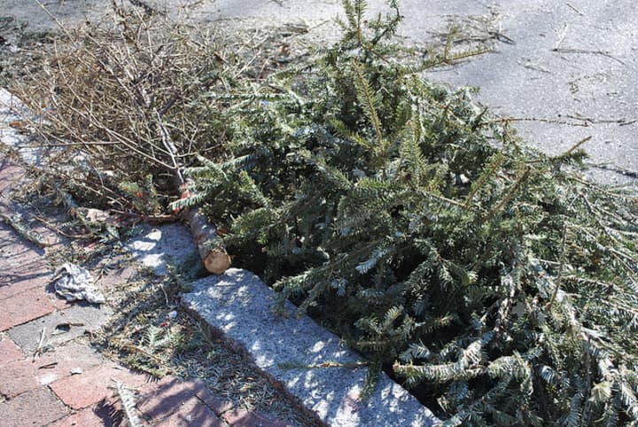 Christmas tree collection in Leonia will begin Jan. 4.