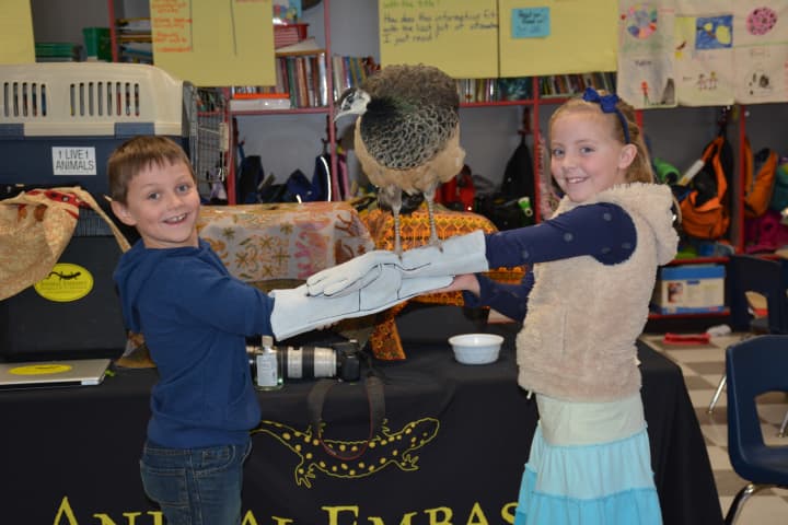 Second-graders Declan Schweitzer and Whitney Grunow carefully hold Pradesh the peacock.