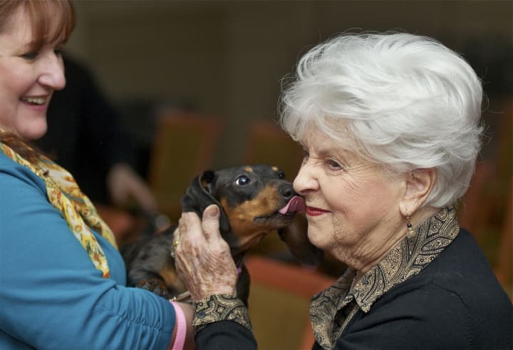 Nina Ravden gets a hello kiss from Penny the dachshund at the Watermark in Bridgeport.