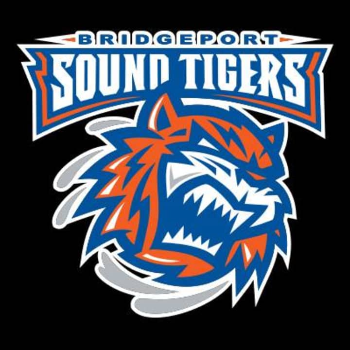 The Bridgeport Sound Tigers are hosting Cancer Awareness Day on Jan. 18. 