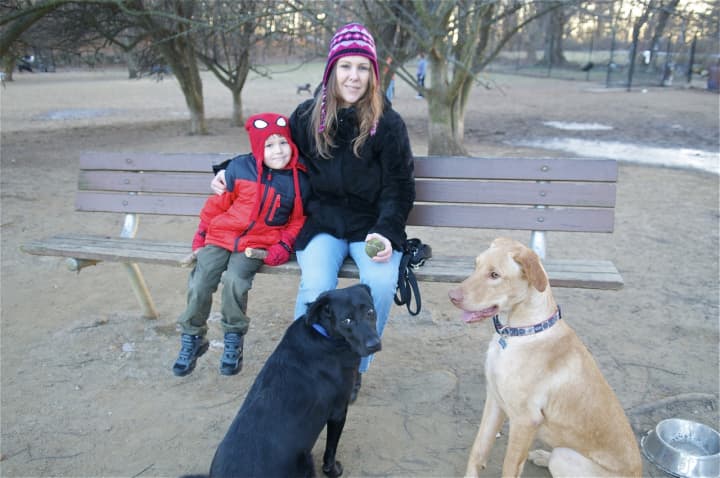 Kerri Quinn, with son, Tadhg, 5, of White Plains, with Saoirse (left) and Butters, both lab mixes.