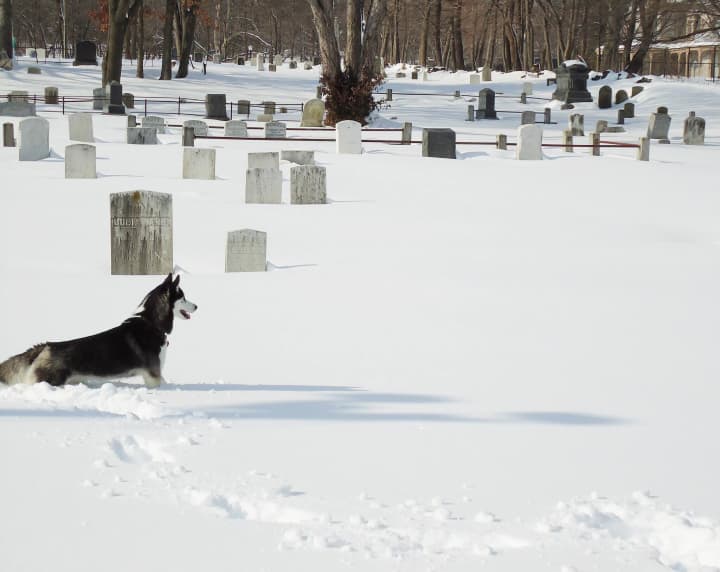 A wintery image of Norwalk Cemetery