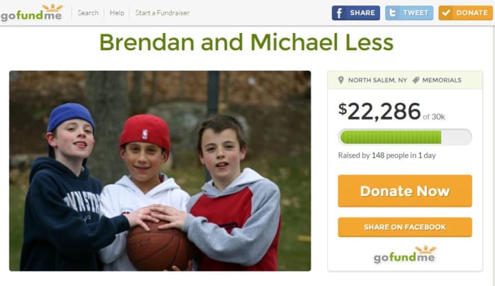 A screen shot of the GoFundMe-based fundraiser for North Salem&#x27;s Michael and Brendan Less. The photo is of the brothers, pictured at left and right, when they were kids.