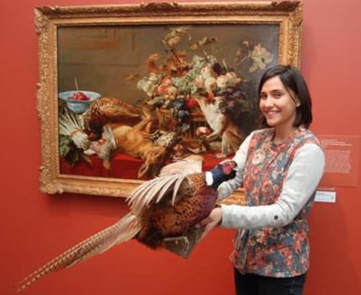 Tara Contractor holds a ring-necked pheasant, one of the animals that families can search for
among the paintings featured in the Bruce Museum&#x27;s ARTventure program on Feb. 22.