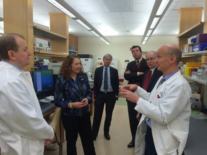 U.S. Rep. Elizabeth Esty listens intently during her tour of the Biomedical Research Institute last Friday.  
