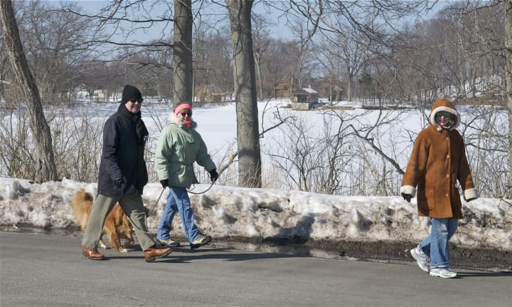 A group of walkers brave the chill at Greenwich Point Park.