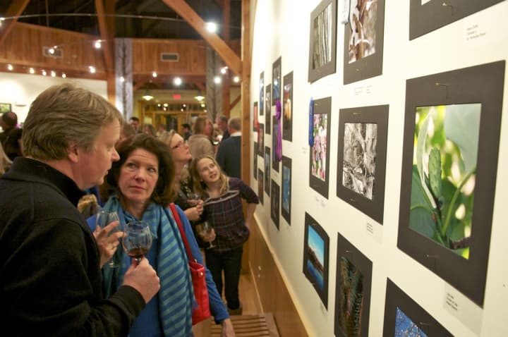 Visitors discuss photos at the Tree Conservancy of Darien&#x27;s photo contest over the weekend.