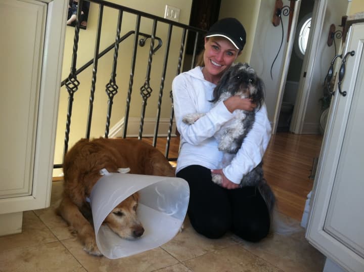 Kerie Boshka of Red Fox Road holds Kipp, her Shih Tzu while Lexie, her golden retriever lies on the floor recovering from a coyote attack last week. Lexie fought off the coyote that had tried to get at the smaller Kipp. 