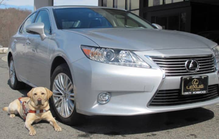 Guiding Eyes Macklin poses with a new 2015 Lexus ES 350 which will be raffled, along with a Rolex watch, at Guiding Eyes for the Blinds Annual Golf Classic June 8. 