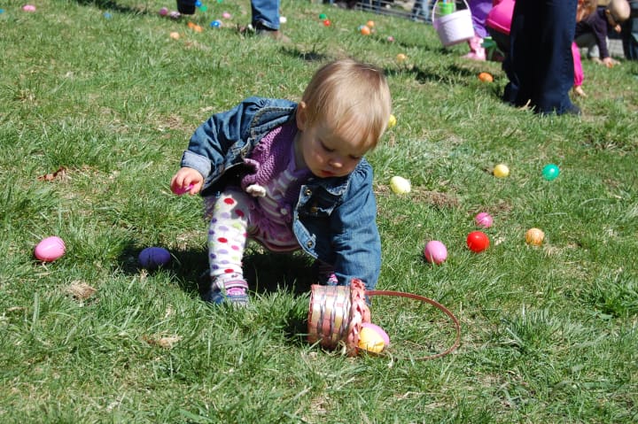 Easter egg hunts are always fun at Stamford Museum &amp; Nature Center.