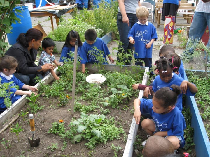 Children enjoying one of Greystons eight community gardens.