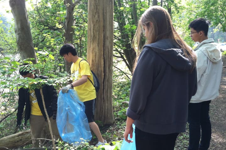 Students from Stamford&#x27;s Newfield Elementary School and Hart Magnet Elementary School partner with UConn Stamford to clean up Cedar Street Park.
