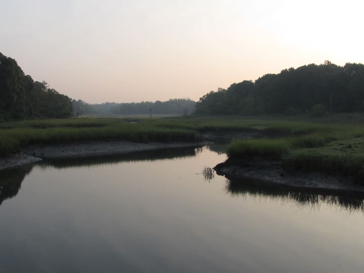 The Otter Creek Preserve in Mamaroneck.