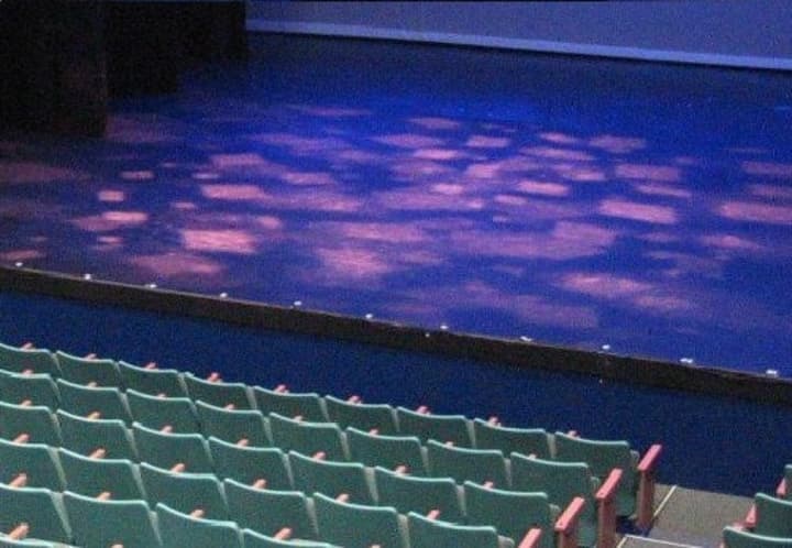 The Play Group Theatre is celebrating its 20-year anniversary with a fundraiser.
