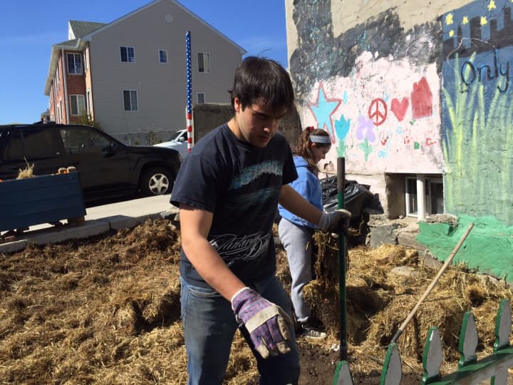 A member of the Horace Greeley High School Habitat Club works in a Yonkers neighborhood as part of Earth Week. 