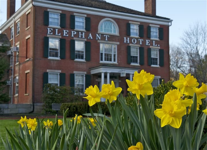Flowers bloom outside the Elephant Hotel in Somers. 