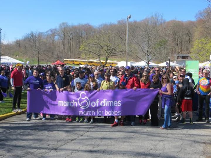 The 2015 March for Babies was held in Saxon Woods.