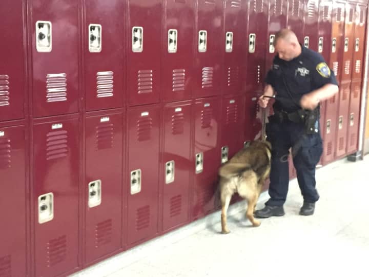 Local law enforcement sweeping Mount Vernon High School for illicit drugs and narcotics on Friday afternoon.