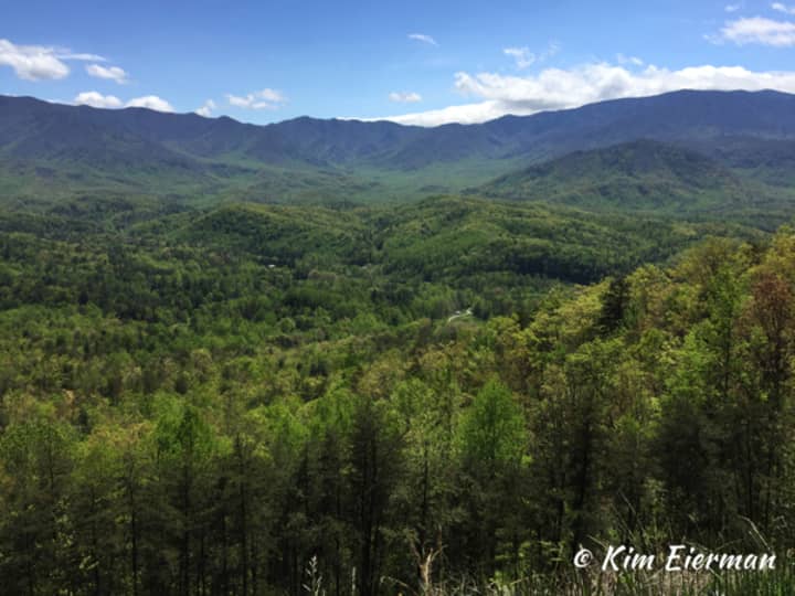 Lessons learned in the Smoky Mountains can help improve landscapes at your home.