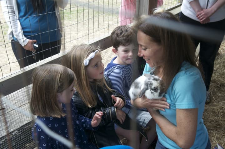 Ambler Farm&#x27;s Jennifer Grass shows children the rabbits at the Wilton site. 