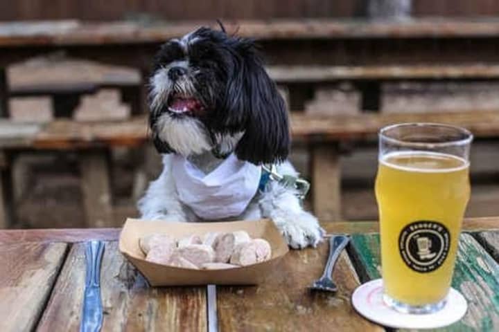 A New York state bill would allow dogs in outdoor areas of restaurants.