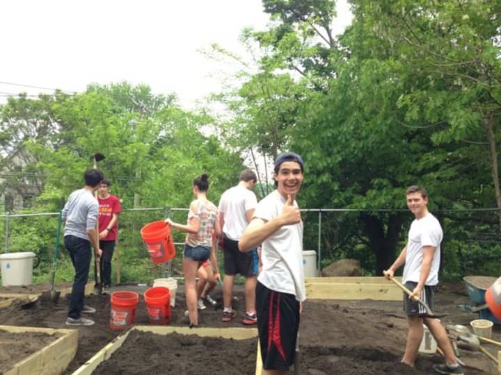 Student volunteers from Chappaquas Horace Greeley High School recently helped plant a community garden in Yonkers.