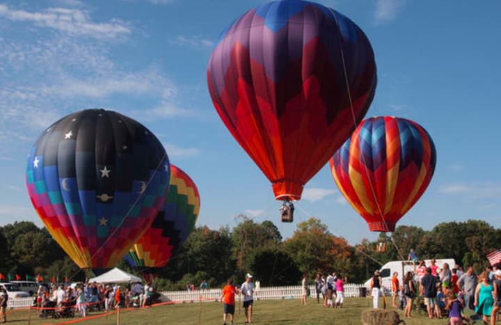 Hot air balloons will be part of Greenwich Land Trust&#x27;s Go Wild! Family Field Day.
