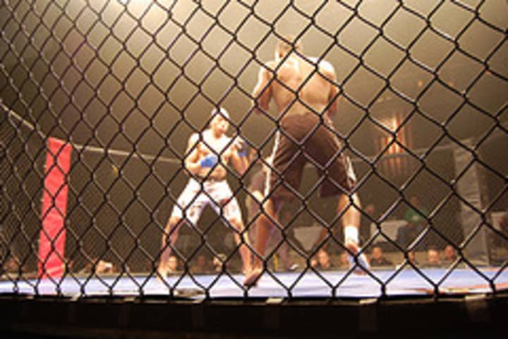 Time is running out on a proposal to legalize professional mixed martial arts in New York State.
