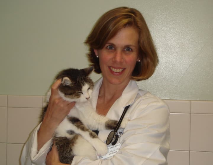 Elizabeth Zimels, a veterinarian at Broad River Animal Hospital in Norwalk.