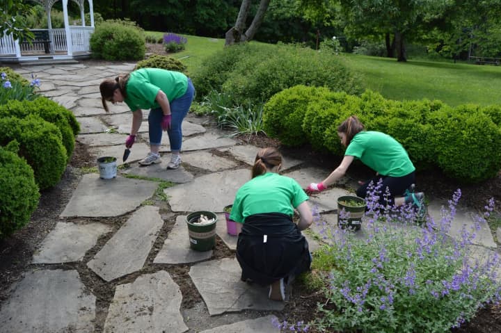Volunteer crews go to work near the gazebo on the ground of the Tarrywile Park &amp; Mansion in Danbury. 