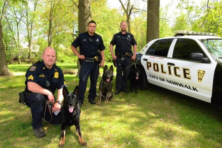 Sergeant Garrett Kruger with Police Service Dog (PSD) Kimbo, Officer Richard Montanez and PSD Kai, and Officer David Peterson with PSD Rainor.