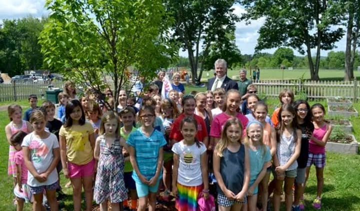 Rep. Shaban and RES second and fourth graders stand by their new tree.