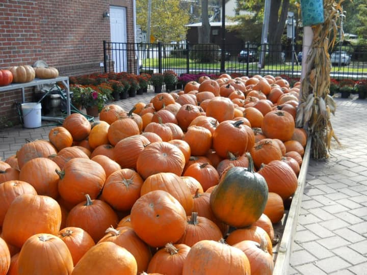 There are several Halloween-themed activities happening in Chappaqua this weekend.