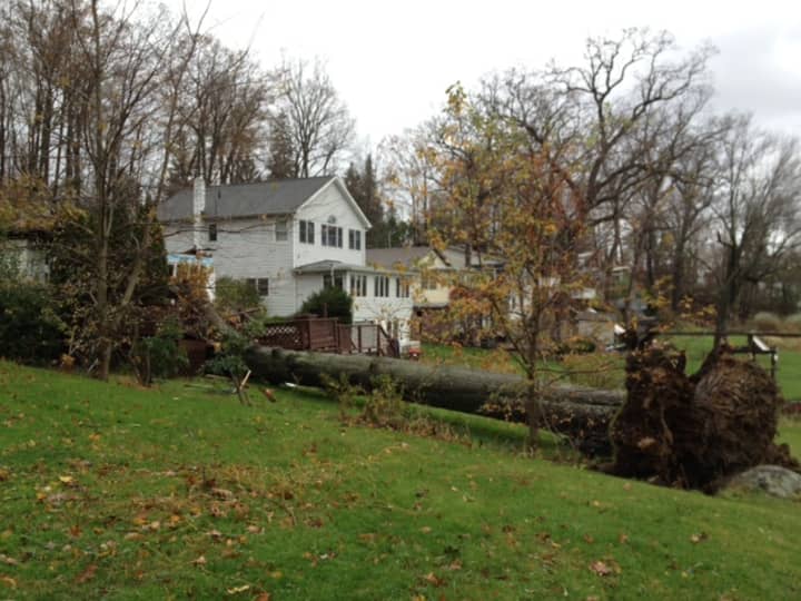 This large tree fell on a house at 19 Bonnieview St. in North Salem Monday evening, killing two young boys. 