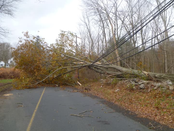 A tree fell across power lines near the Easton Senior Center.