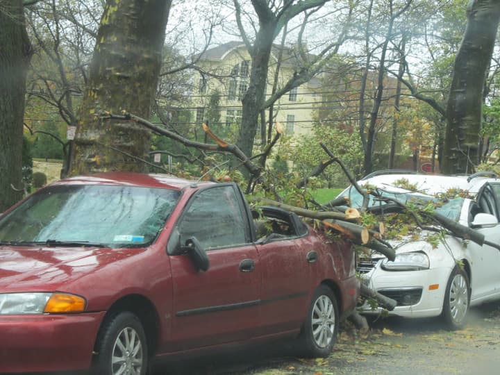 A tree crushes a car in the aftermath of Hurricane Sandy near New Rochelle&#x27;s Glen Island Park Tuesday.