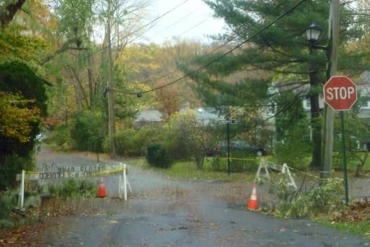 Hurricane Sandy downed several trees and power lines in Tarrytown, Sleepy Hollow and Irvington, making trick-or-treating unsafe.