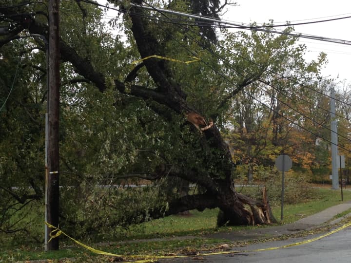 There are downed tree throughout Tuckahoe and Eastchester, causing problems for both residents and town officials.