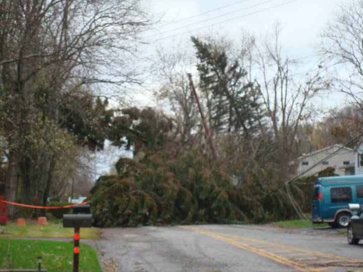 A giant tree took down power lines on Curry Street by Weskora Road in Yorktown Heights.