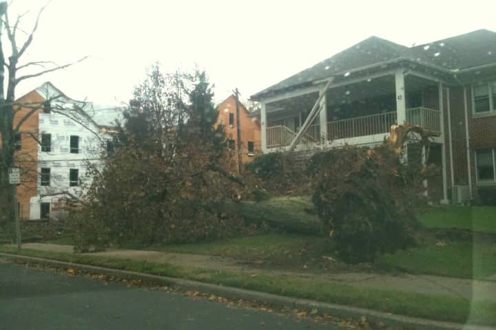 Hurricane Sandy knocked down a tree in front of this home on Post Road in Darien.
