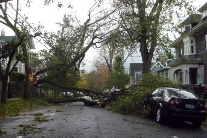 Downed trees were still on Irvington streets Tuesday afternoon and Wednesday morning.
