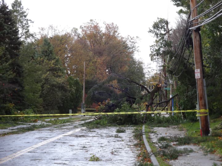Hurricane Sandy knocked over a tree on Kimball Avenue by Sarah Lawrence College in Bronxville.