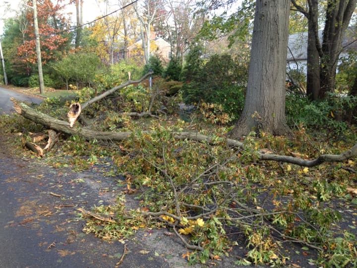 Downed trees are still prevalent in the area, forcing Eastchester schools to close for the week.